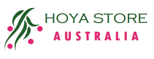 Hoya Store Australia