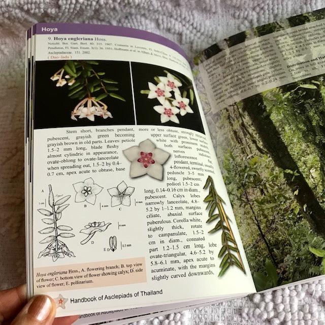 Resource Book: 'Handbook of Asclepiads of Thailand' - Image 3