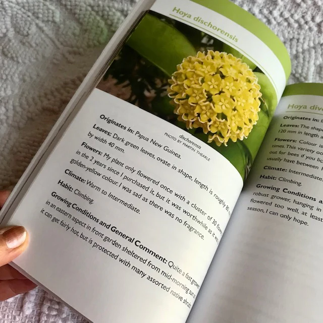 Resource Book: 'My Own Hoya Collection' - Image 3
