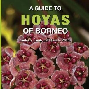 Resource Book - 'A Guide to Hoyas of Borneo' - Image 3
